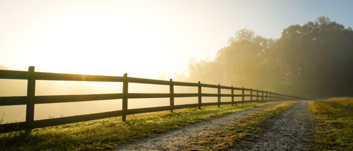 Foggy Country Road at Sunrise