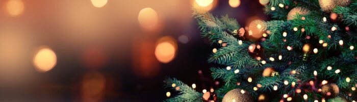 sapin_noel sapin_noel
